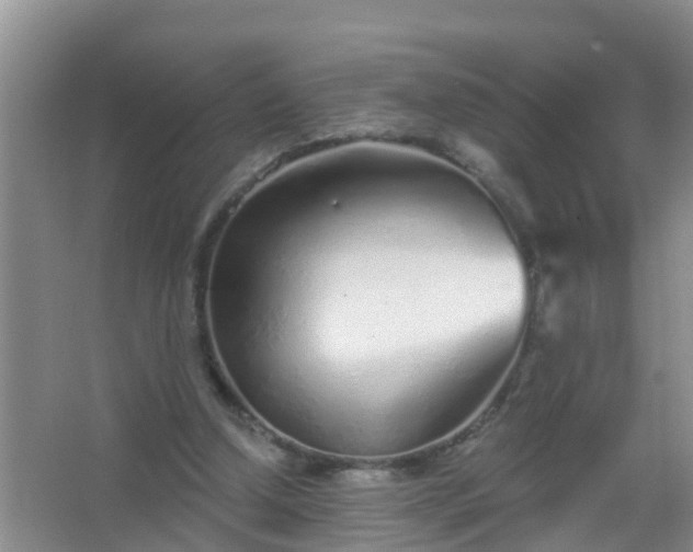 X0000067490250200604150049