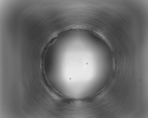 X0000067490253200604150049