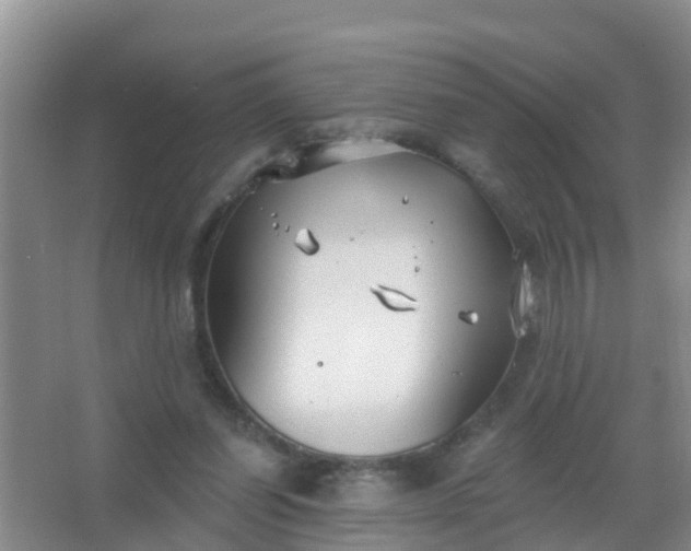 X0000067490254200604150049