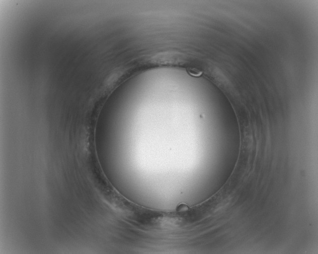 X0000067490255200604150049