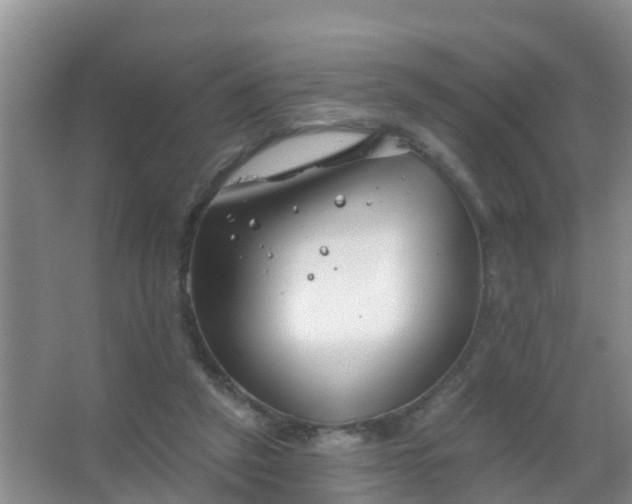 X0000067490257200604150049