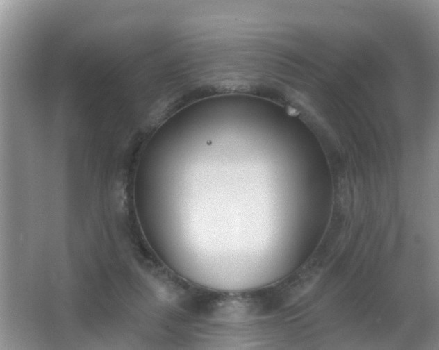 X0000067490259200604150049