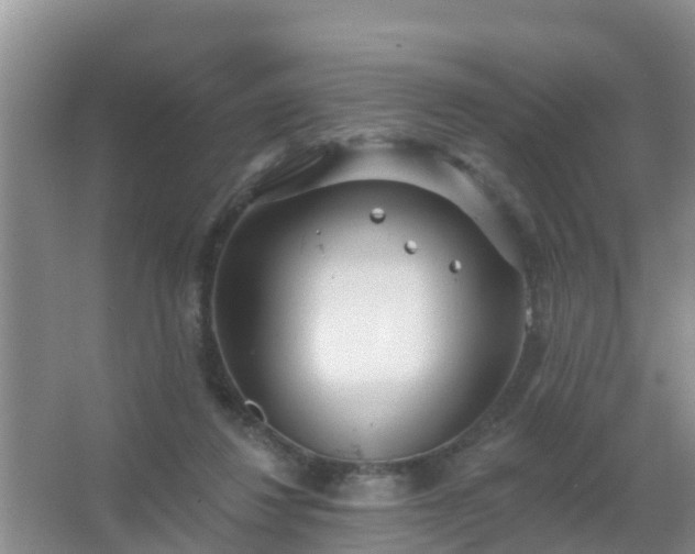 X0000067490260200604150049