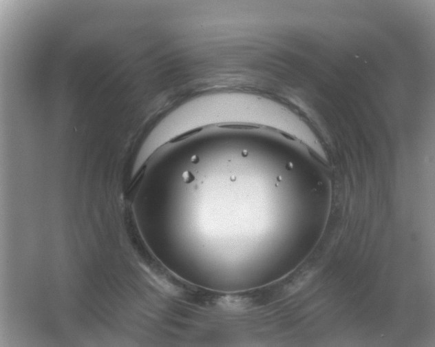 X0000067490261200604150049