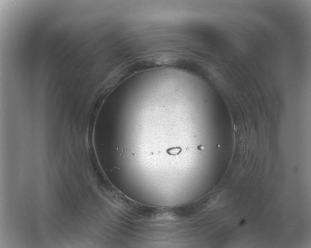 X0000067490262200604150049