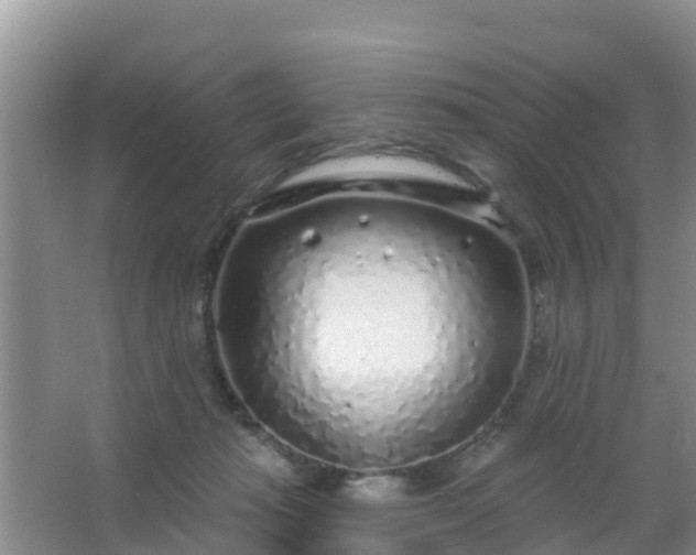 X0000067490269200604150049