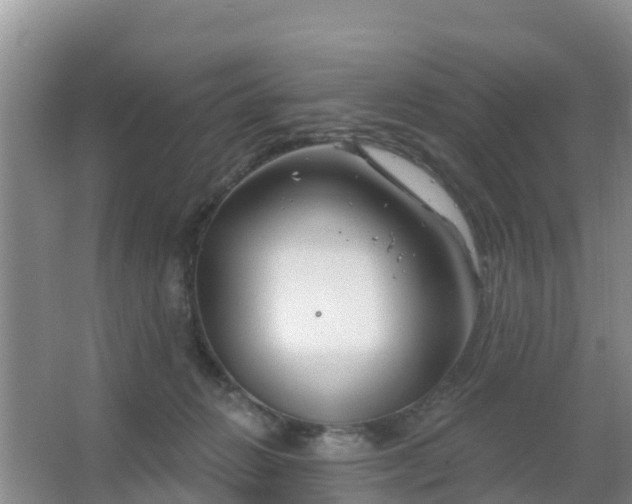 X0000067490270200604150049