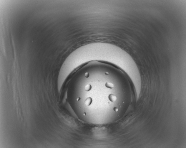 X0000067490271200604150049