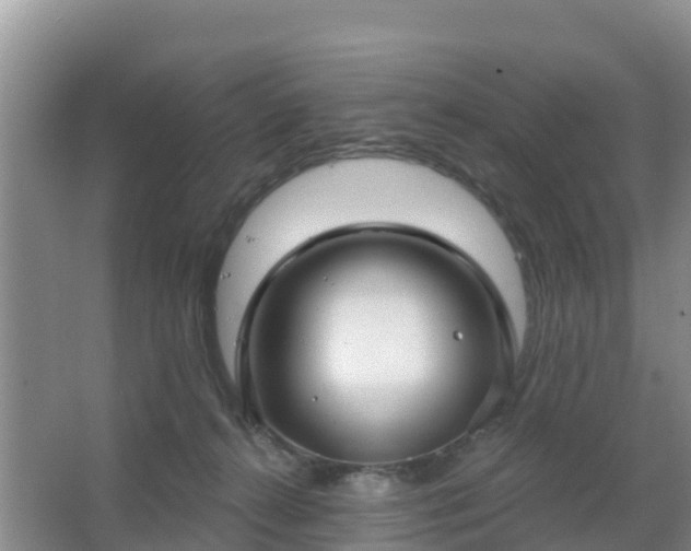 X0000067490272200604150049