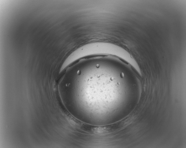 X0000067490273200604150049