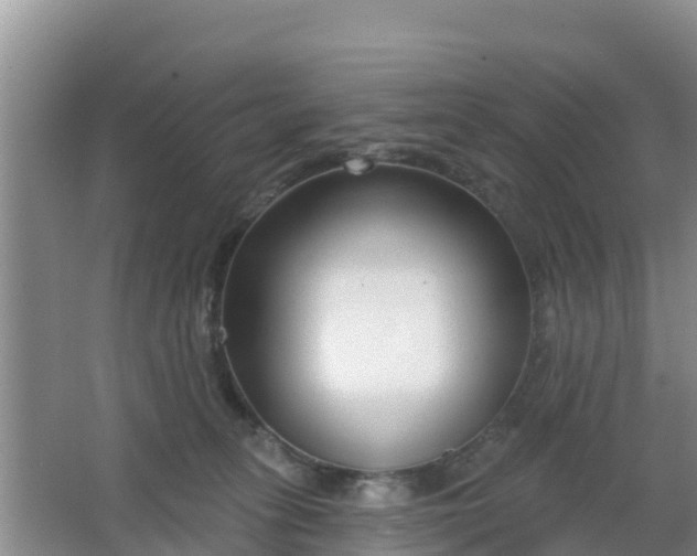 X0000067490275200604150049