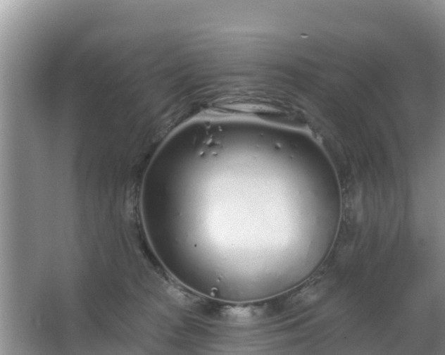 X0000067490277200604150049