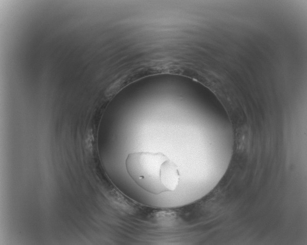 X0000067490279200604150050