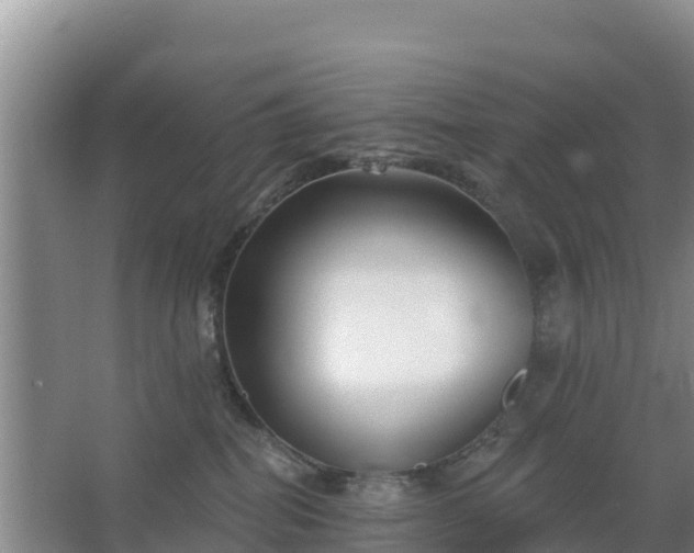 X0000067490282200604150050