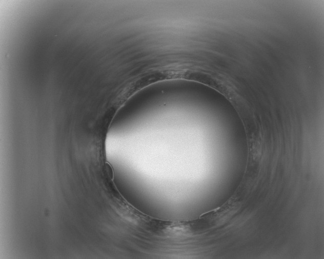 X0000067490283200604150050