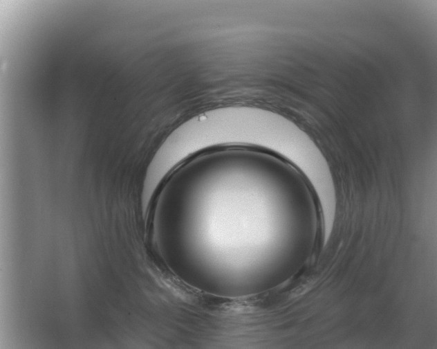 X0000067490284200604150050