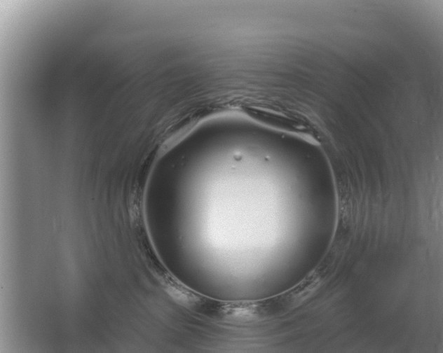 X0000067490285200604150050