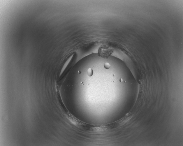 X0000067490286200604150050