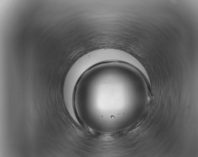 X0000067490287200604150050