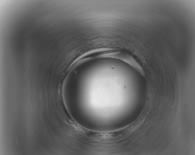 X0000067490288200604150050