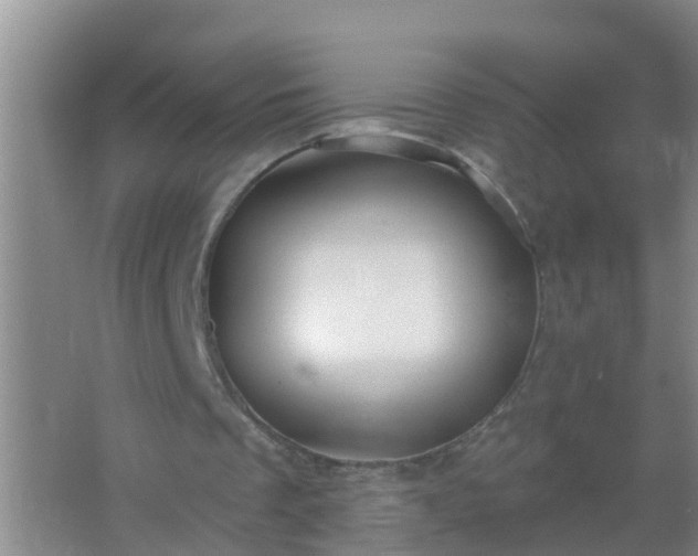 X0000067490289200604150049