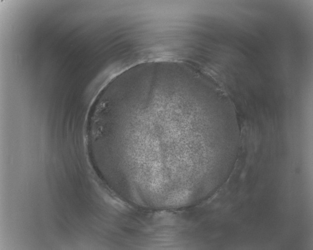 X0000067490290200604150049