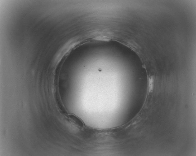 X0000067490291200604150049