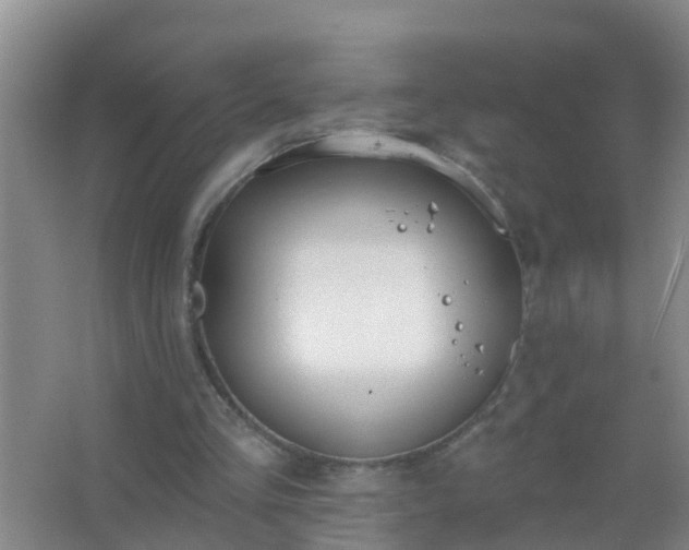 X0000067490293200604150049