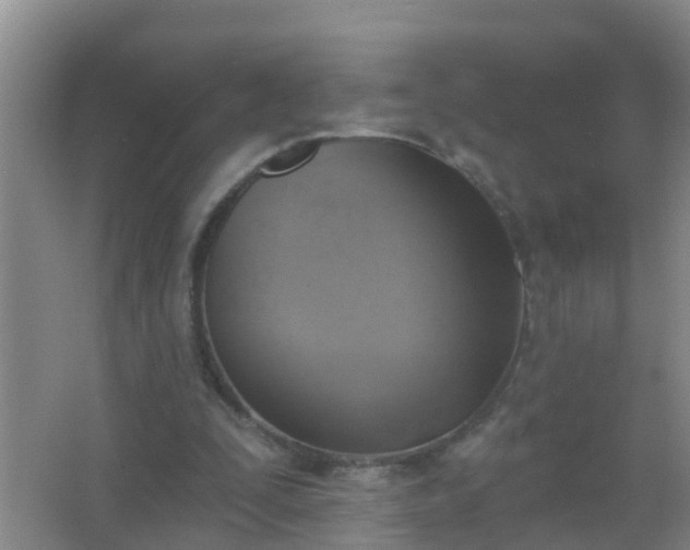 X0000067490295200604150049