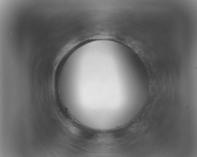 X0000067490296200604150049