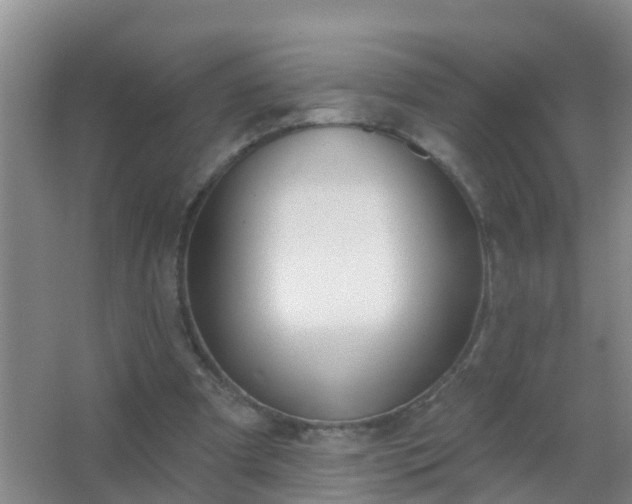 X0000067490297200604150049