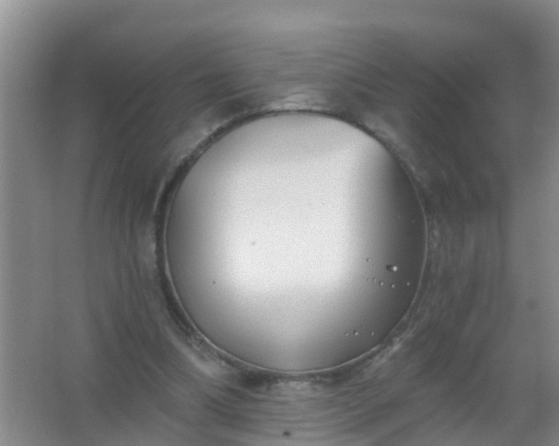 X0000067490298200604150049