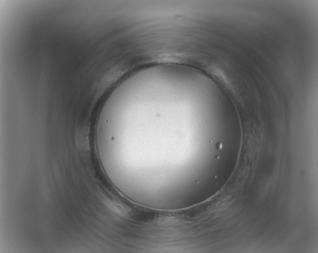 X0000067490299200604150049