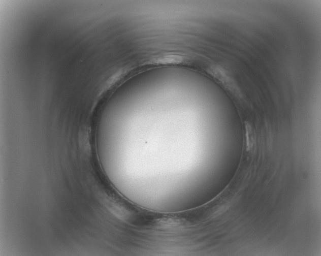 X0000067490300200604150049