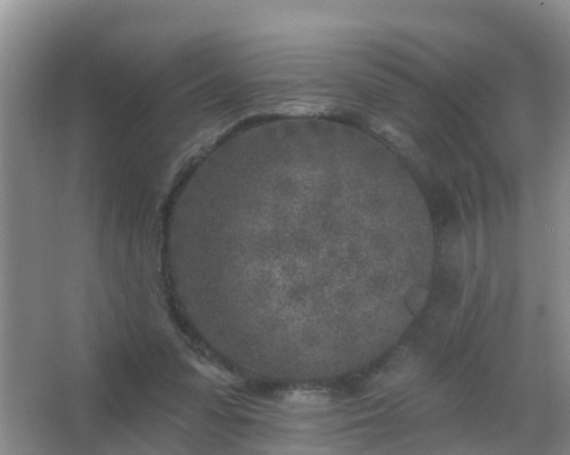 X0000067490303200604150049