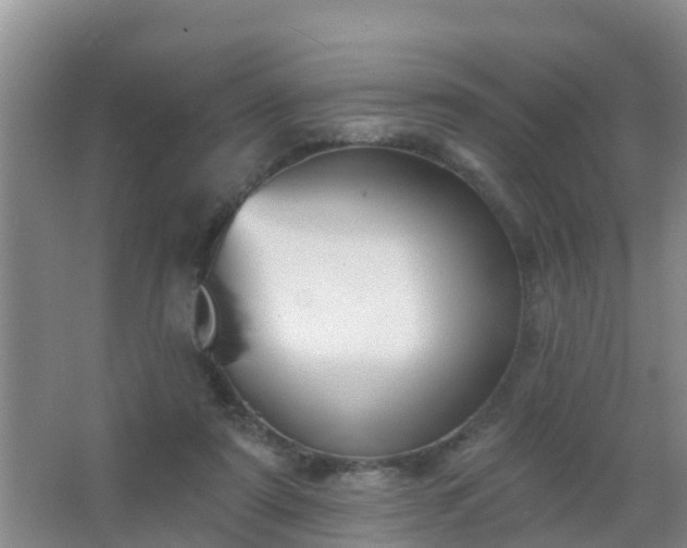 X0000067490307200604150049