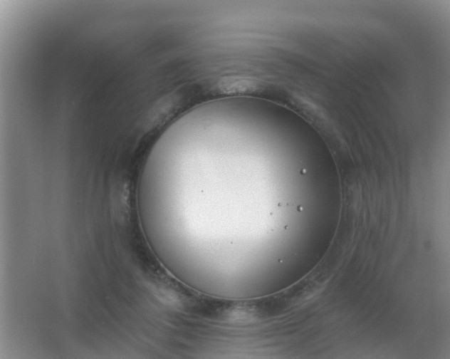 X0000067490308200604150049