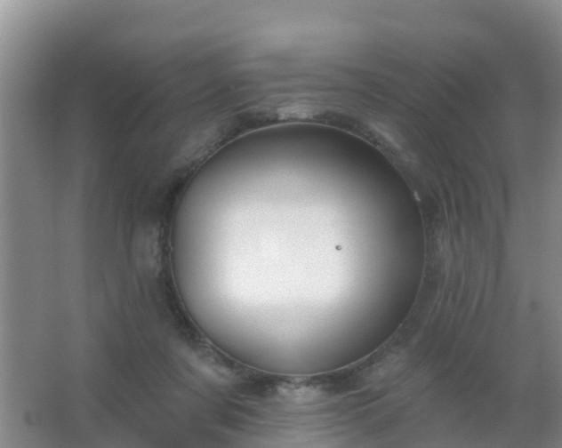 X0000067490311200604150048