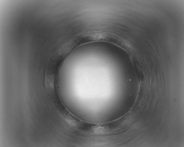 X0000067490315200604150048