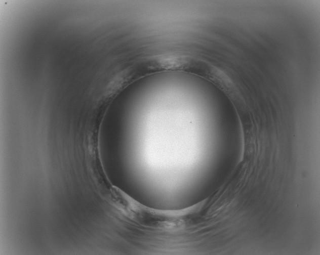 X0000067490317200604150048