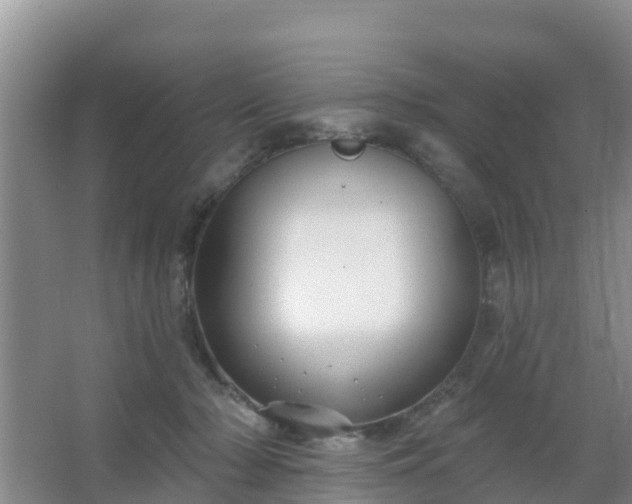 X0000067490318200604150048