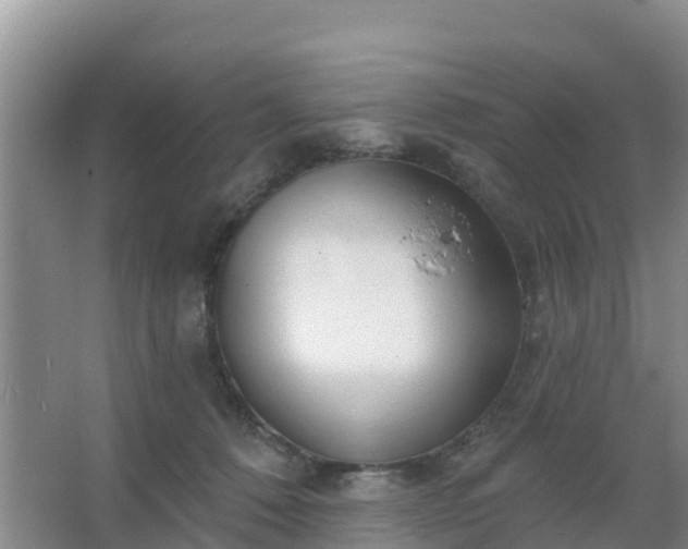 X0000067490320200604150048