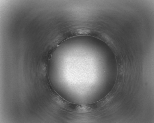 X0000067490321200604150048