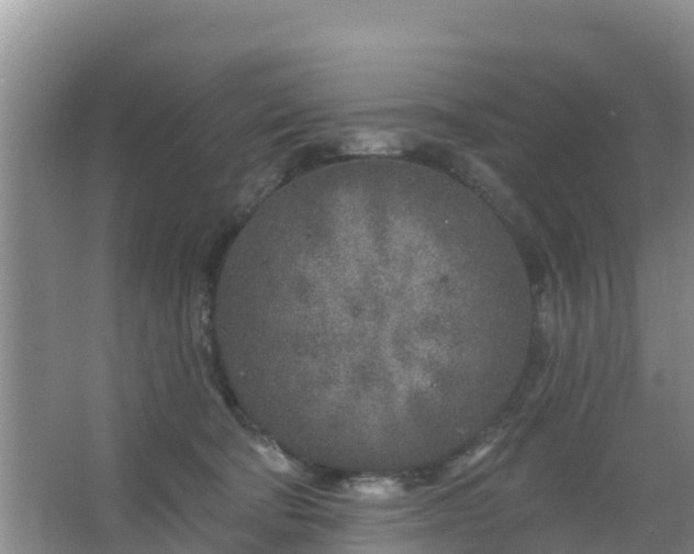 X0000067490322200604150048