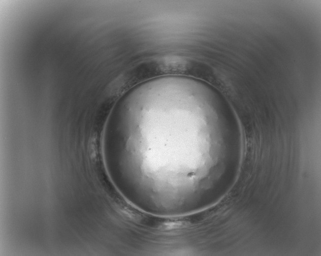 X0000067490323200604150048