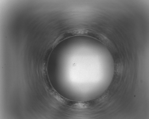 X0000067490326200604150048