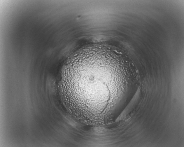 X0000067490327200604150048