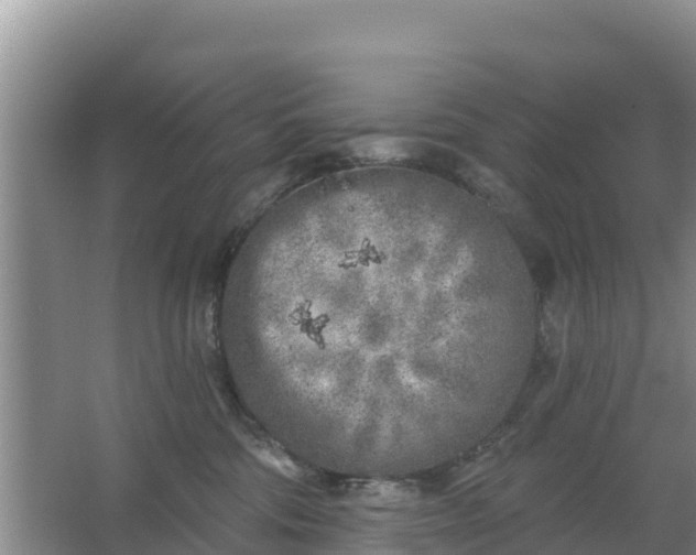 X0000067490330200604150048