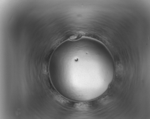 X0000067490331200604150048