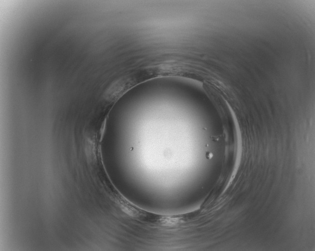 X0000067490333200604150048